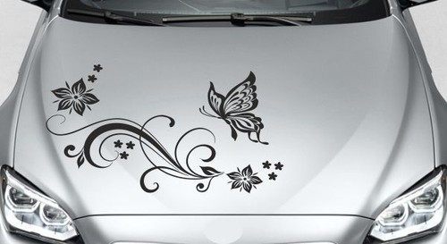 Aufkleber motorhaube auto car - motorhaube,